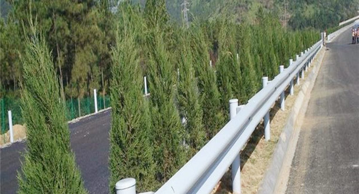 ���λ����塢�����辶��������������������ӹ�����