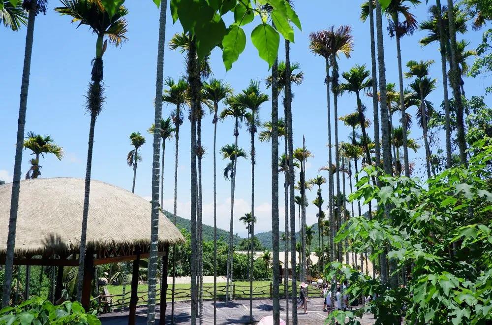 �����عɼ���